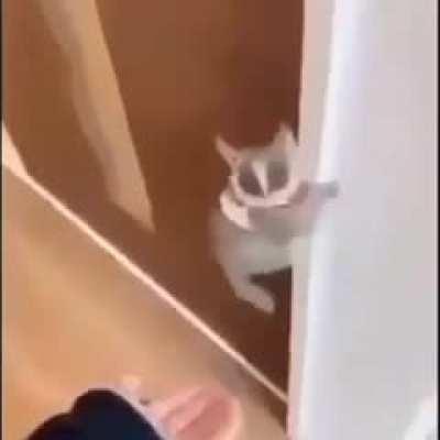 He can't move it move it anymore.😢