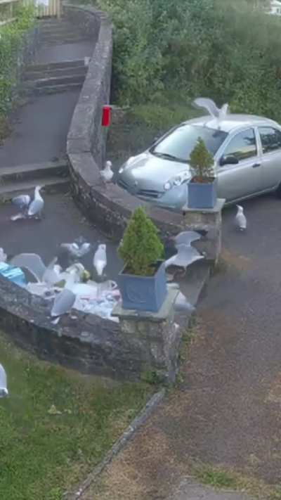 Delivery to the porch