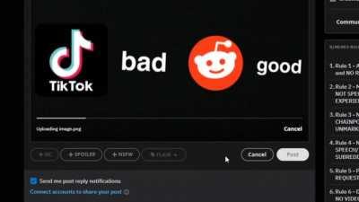 tik tok bad (reddit good)
