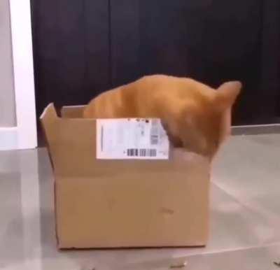 Rate my new box cutter 🥱