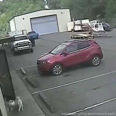 Someone's insurance is going up