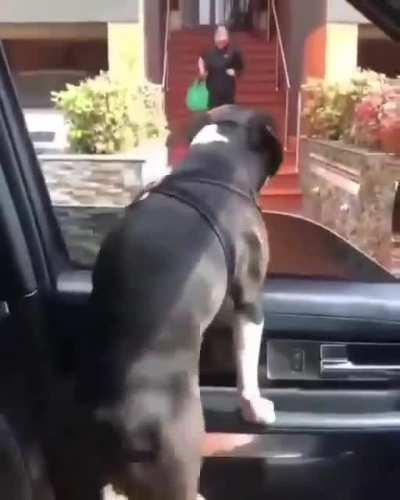 Much excited to see me buddy