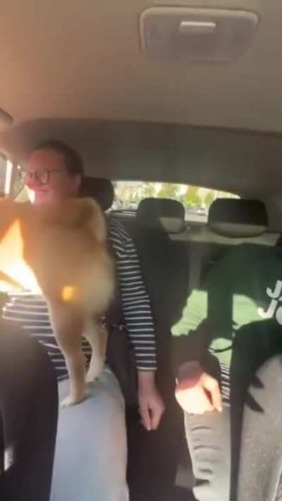 Touch my feet and I will unleash the Hi-ya.