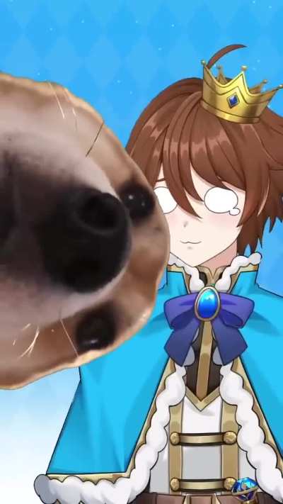 what the dog doin' 🐶