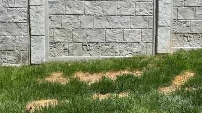 Woof Shit Bets - Doo Diligence Ep. 5/21