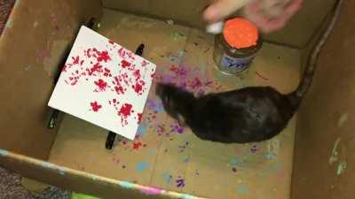 Olive Paw Painting - Speedpaint in Ratty Style!