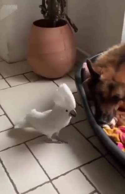 somthing seems odd here