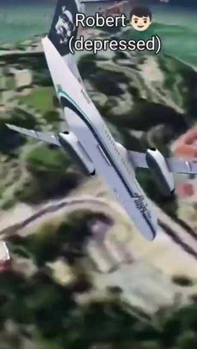 Who crashed the plane?