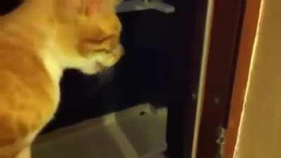 instant regret indeed