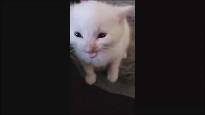 Why are You redeeming cards