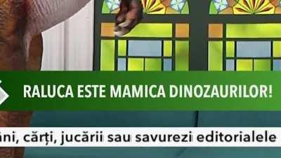Romanian TV at its finest hour (xpost /r/romania)
