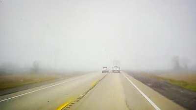 Guess this guy felt like flirting with death.