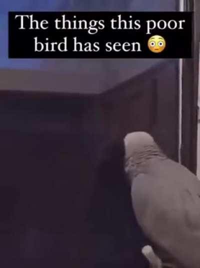 Meme of the day (2 of 3)