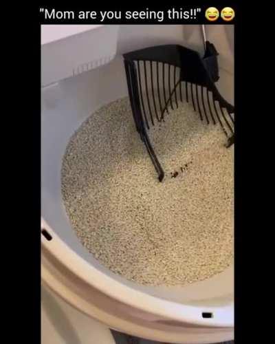 Mom are you seeing this...!