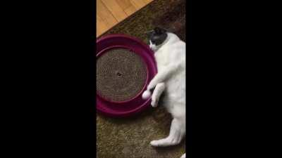 Everyone before and after the delay announcement