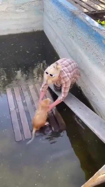 Evil woman abandons cute nutria on raft in enclosed pool