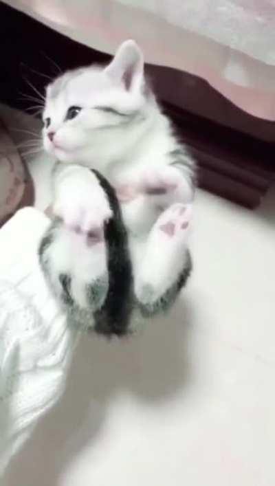 Touch tha toe beans..