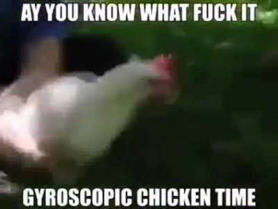 Gyroscopic chicken