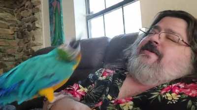Aloha Bob and his dancing macaw
