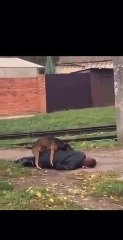 Obligatory "What da dog doin'?"