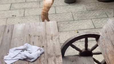 Good balance or bad balance?