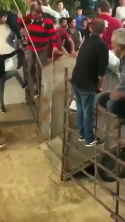 HMB while I slap this bull