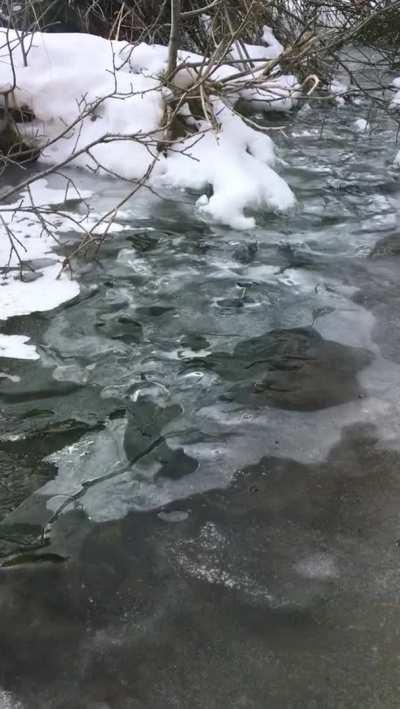 Water flowing under a sheet of ice