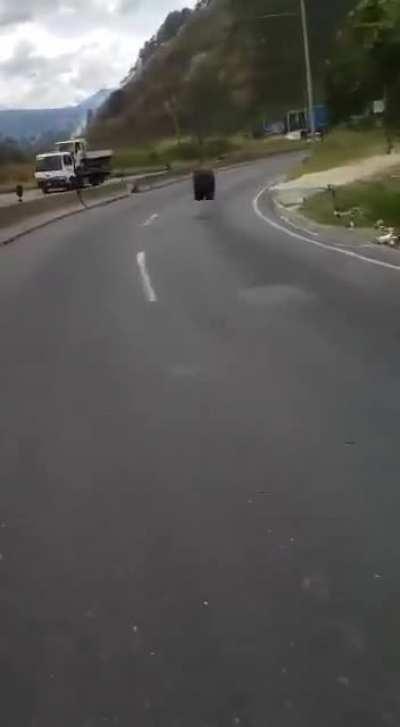 amazing how far self driving technology evolved in the last couple years