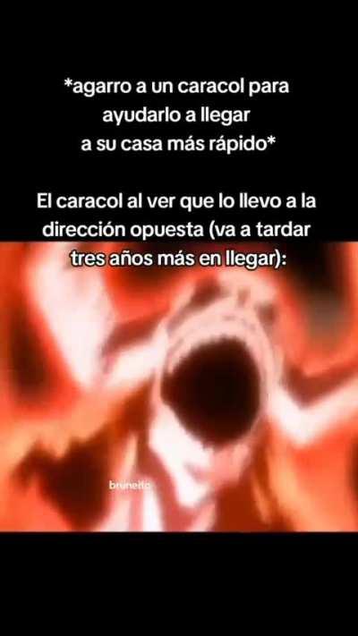 BeelcitosMemes - Video #6172