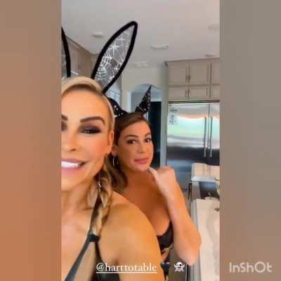 The Sexy Niedharts Smashing it again.