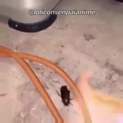 Na sunog na si antonio kuya Kris!!