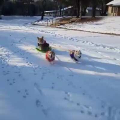 Givin their pal a lift!