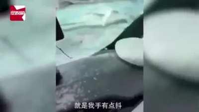 国内车主在高速路上开无人驾驶追尾卡车