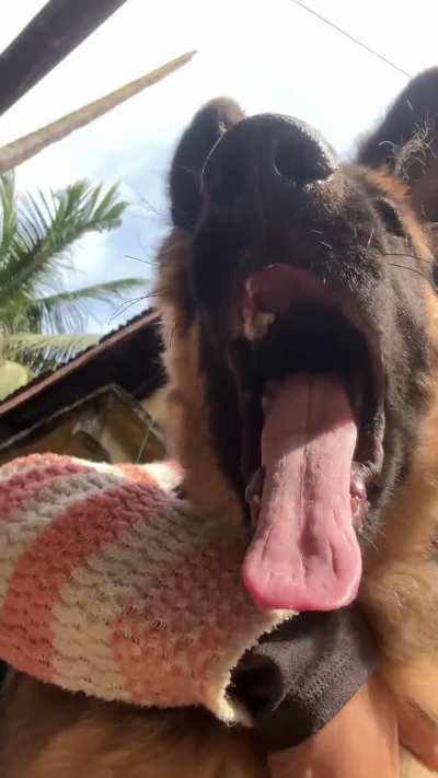 My baby 👶 4 months old