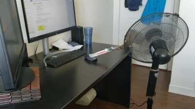 Como fingir que está online trabalhando de casa.