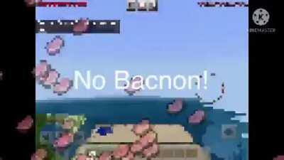 No bacnon ماين كرافت ماين كرافت ماين كرافت ماين كرافت no bacnon