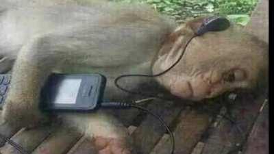 Sad_but_chilling.mkv