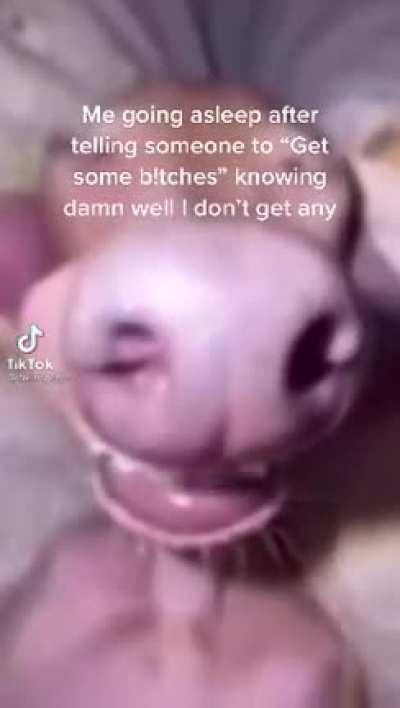 Life's good isn't it