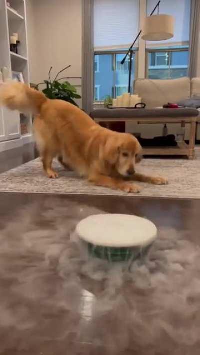 Ice to meet you Winston