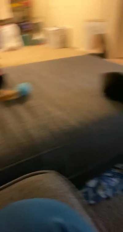 The greebles are strong with this one