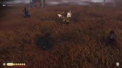 [GIF] The Samurai of Tsushima