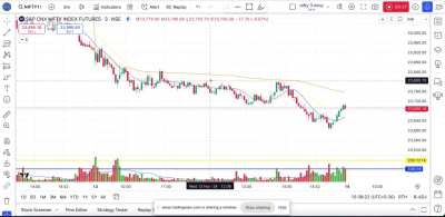 Day Trading Nifty-13th Nov ’24  (Hindi Audio-0:39)