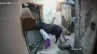 Grandma didn't follow proto.