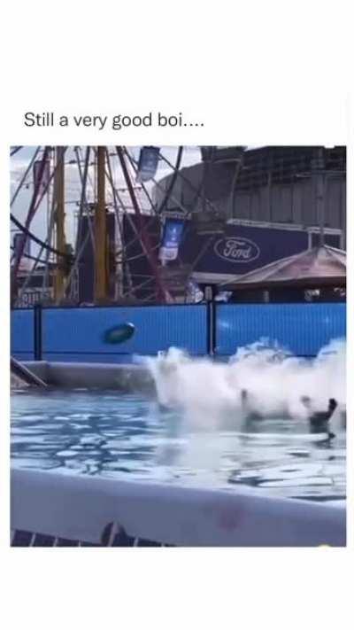 Gambling addiction in a nutshell (Chasing Losses)