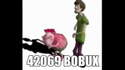 thats alot of bobux