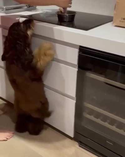 It's called the Dinner Time Jive