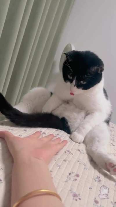 Playing games with these slow humans to kill time