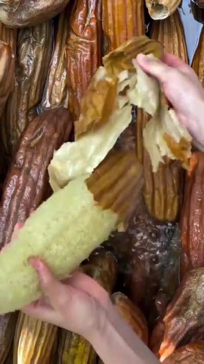 So, Loofahs were just, like, growing naturally all along.