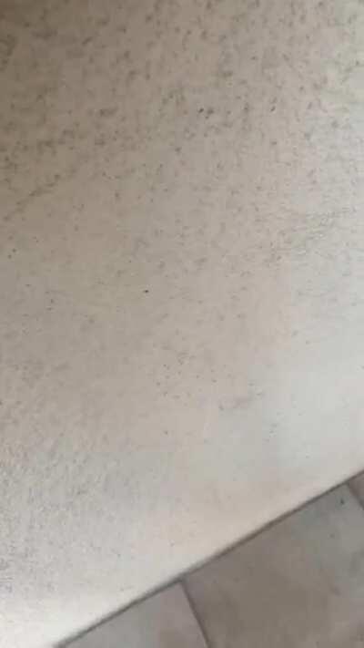 Postmates driver encounters deranged woman