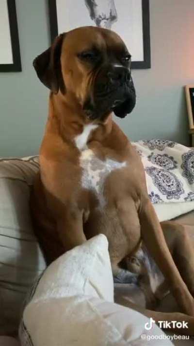 Banned from the beach